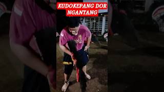 Download Lagu JARANKEPAMG DOR @Wakotez3031 #jaranan #senibudaya  #shorts MP3