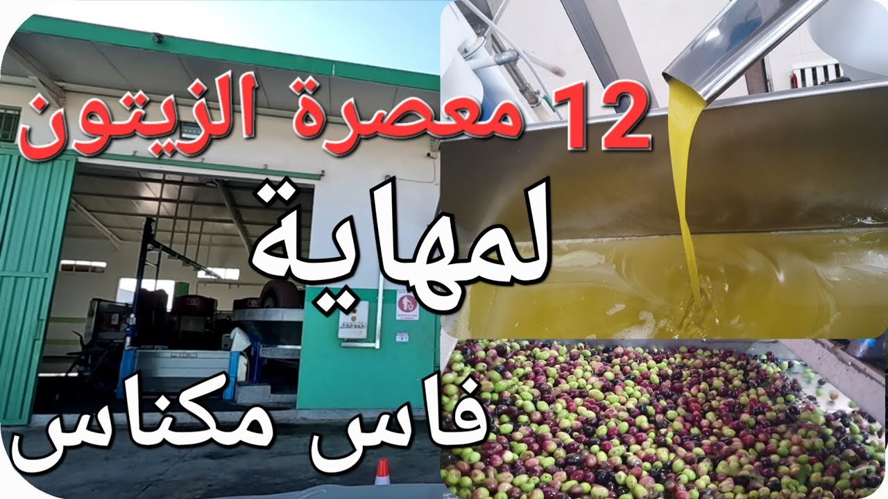 جولة في مطاحن الزيتون بمنطقة المهاية بين فاس و مكناس
