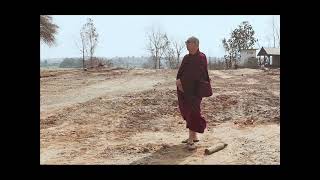 20200128 To be mindful means to learn from the experience // Sayadaw U Tejaniya's Dhamma Interview