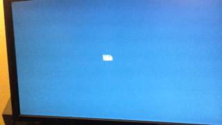 Raccolta Bumper Rai 20032010