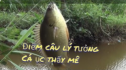 ra con rạch sau nhà câu cá rô,cá ục thấy mê| GÒ CÔNG TV