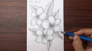 How to Draw Plumeria Flower Step by Step | Pencil Drawing