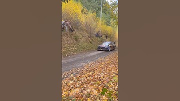 Joshua McErlean🇮🇪 Max Attack Central European Rally🇪🇺 2025 SS 12 Keply #rally #wrc #rallycar