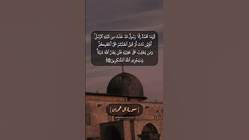سورة آل عمران الآية ١٤٤ بصوت الشيخ محمد صديق المنشاوي