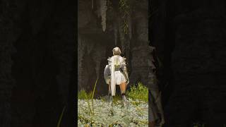 The music and ambience in this game is 👌 #vindictus #thegamingmeadow #videogameambience