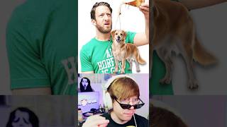 Dave Portnoy Reviews Dog 🐶 @Lonnie2