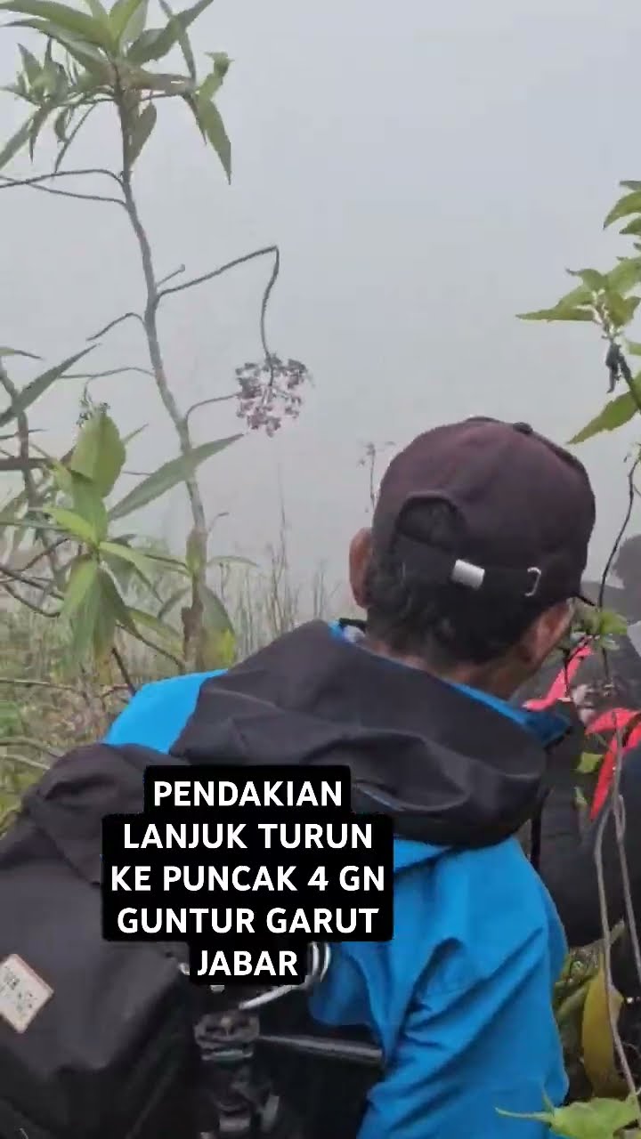 Jalan Ke Puncak 4 Gelap Kabut