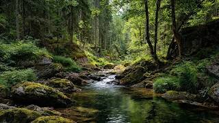 Green Forest Sounds 🌿 Babbling Stream & Relaxing Birdsong | Nature Sounds for Rest and Relax