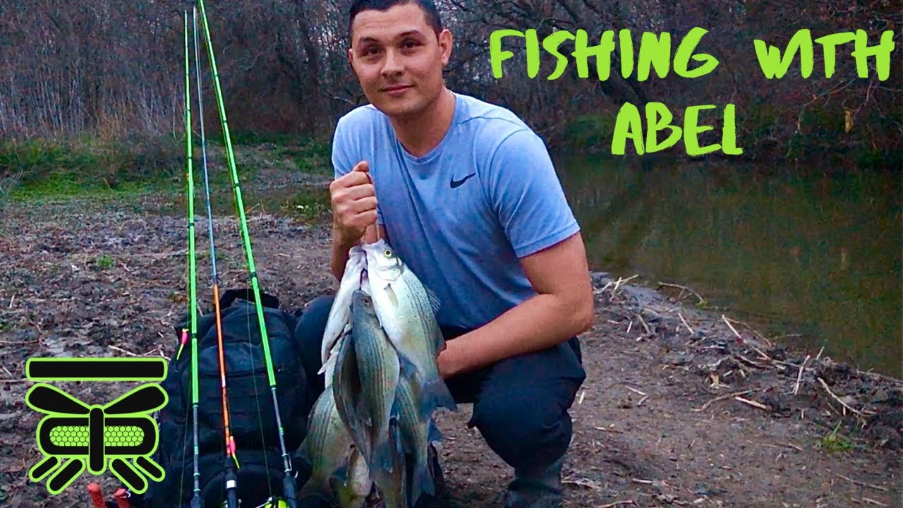 The WHITE BASS are in the CREEKS IN TEXAS FOLKS!! 🐟🐟 YouTube
