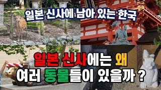 3편 일본 신사에서 알수 있는 일본의 다양한 문화