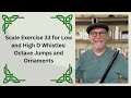 Scale Exercise 33 for Low and High D Whistles: Octave Jumps and Ornaments