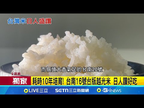 台版越光米"台南16號" 日本人都讚好吃 耗時10年培育! 台南16號台版越光米 日人讚好吃│記者 古芙仙 廖國雄 張哲儒│新聞一把抓20250311│三立新聞台