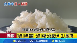 台版越光米'台南16號' 日本人都讚好吃 耗時10年培育! 台南16號台版越光米 日人讚好吃│記者 古芙仙 廖國雄 張哲儒│新聞一把抓20250311│三立新聞台