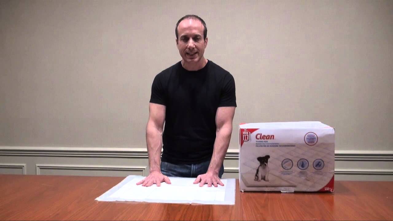 Review of Hagen Dogit Dog Housebreaking & Training Pads YouTube