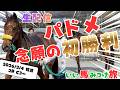 【競馬・馬主】パドメ念願の初勝利‼️（いい馬みつけ旅・切抜・20260206配信）