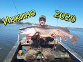 Рыбалка в Инкино 2020. Ловим зубастых монстров!