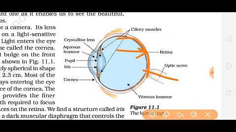 Class 10th The Human Eye and the Colourful World chapter 11 in hindi