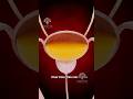 Blood in Urine 😮 Here’s Why It Happens to Some People #short #urineinfection - Creativelearning3d