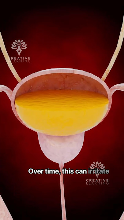 Blood in Urine 😮 Here’s Why It Happens to Some People #short #urineinfection - Creativelearning3d