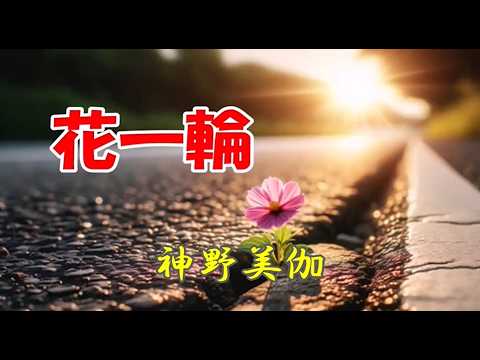 神野美伽　♪花一輪