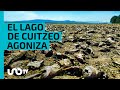 Video de Cuitzeo