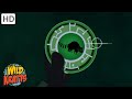 Wildlife Adventure Quiz