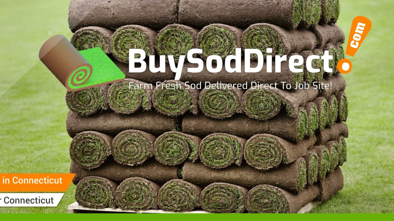 Sod Newington CT - Sod pricing and installation