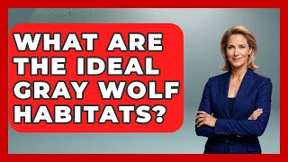 Famous What Are The Ideal Gray Wolf Habitats? - The Wild Life Explorer Profile