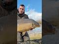 Neues Video ist jetzt online!!🐳🔥 #carpfishing