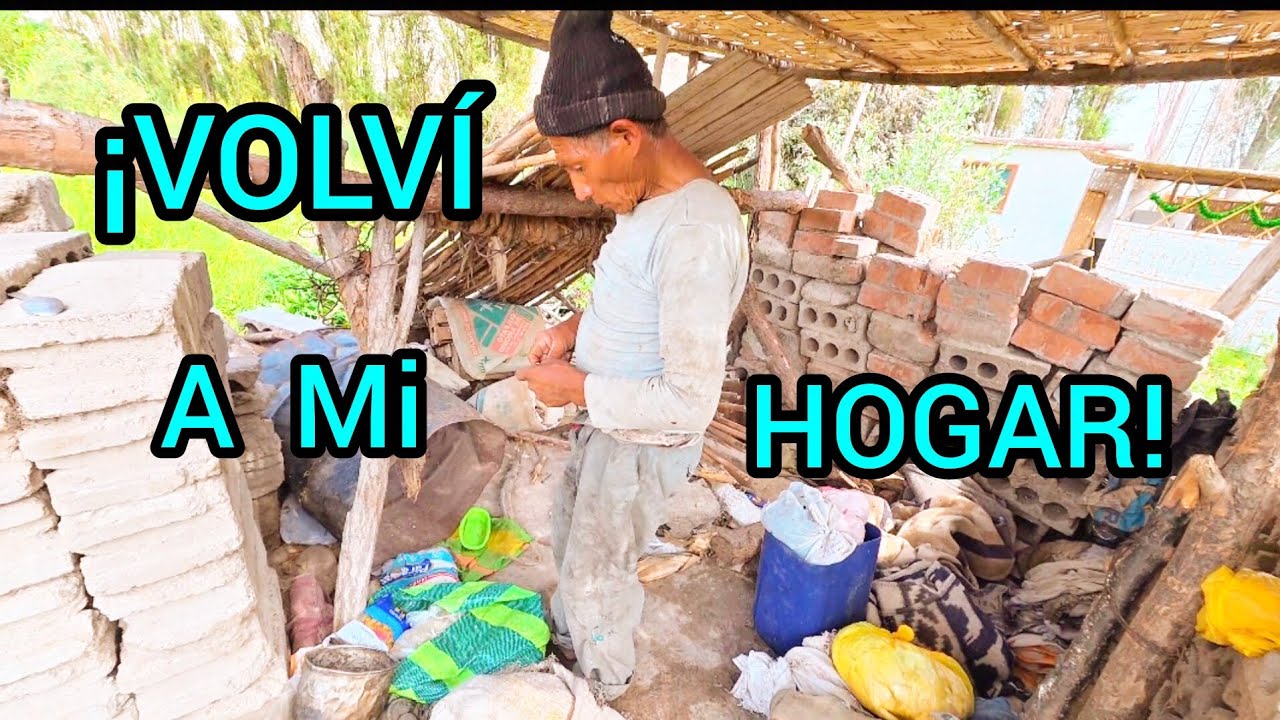 Don Felipe  regreso a su casita, en compañía de sus gatitos .