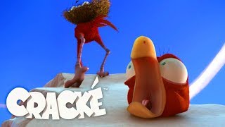 CRACKE - CRACKS EGG _Cartoon For Kids Compilation (2019) | CRACKE TV