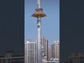 انت نورى انتى نجما فى سما بتدورى