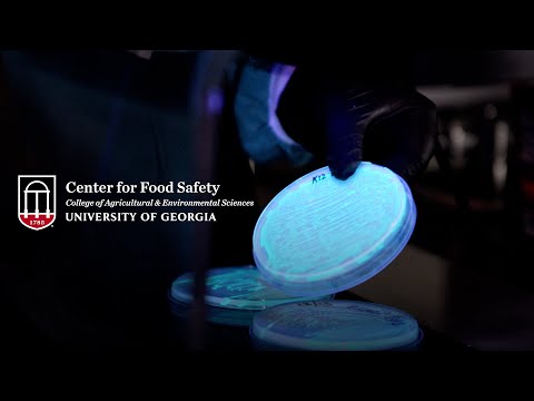 The University of Georgia's Center for Food Safety