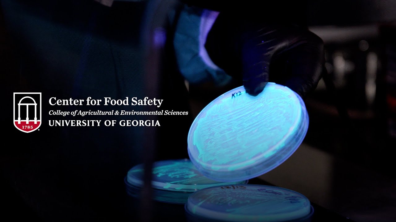The University of Center for Food Safety YouTube