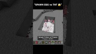 Silverfish vs TNT 😱 | Who Will Survive? 💣🔥