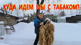 Табачный марафон. Жилкуем, режем, ферментируем. Наша жизнь в деревне.