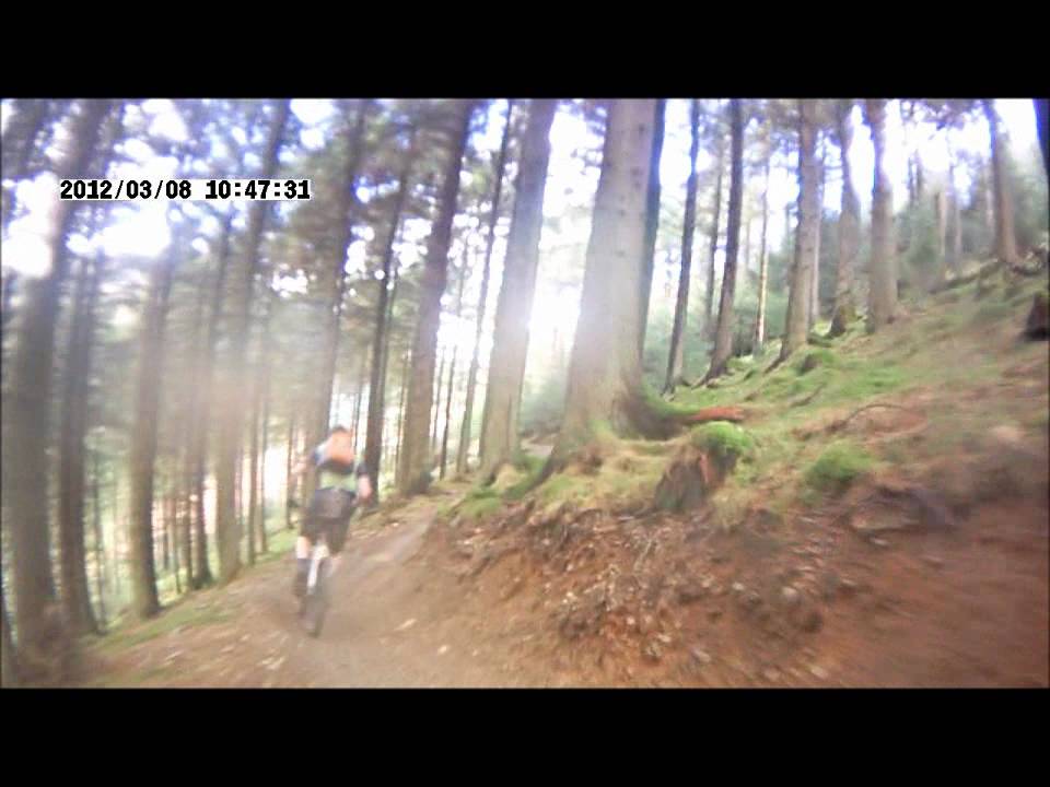 Altura trail Whinlatter forest final descent