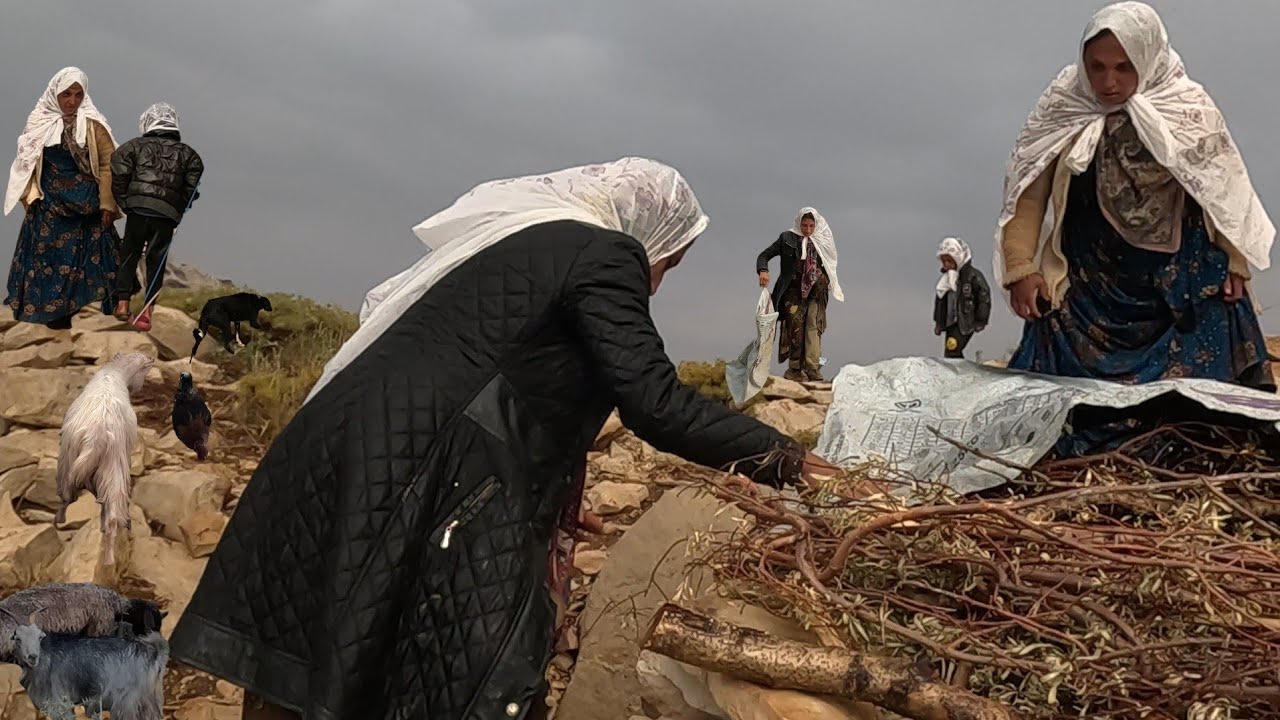 Кочевая жизнь | Выживание в кочевой жизни под дождём⛺ | Девушки-кочевницы сталкиваются с трудностям