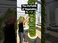 Plants 3x Faster?!