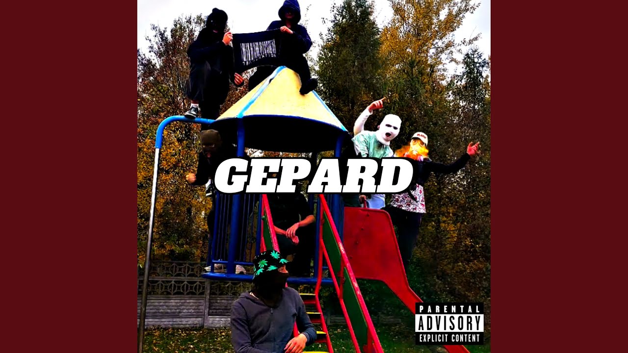 Gepard adlı videoyu YouTube'da izle Gepard adlı videoyu YouTube'da izle