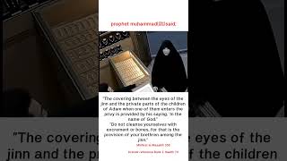 "The covering between the eyes of the jinn.. #shortsfeed #hadessmubarak #islamicfigure