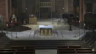 3/29/26 | Palm Sunday