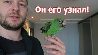 VLOG: Встреча с попугой / Гуляем всей семьей VLOG: Встреча с попугой / Гуляем всей семьей