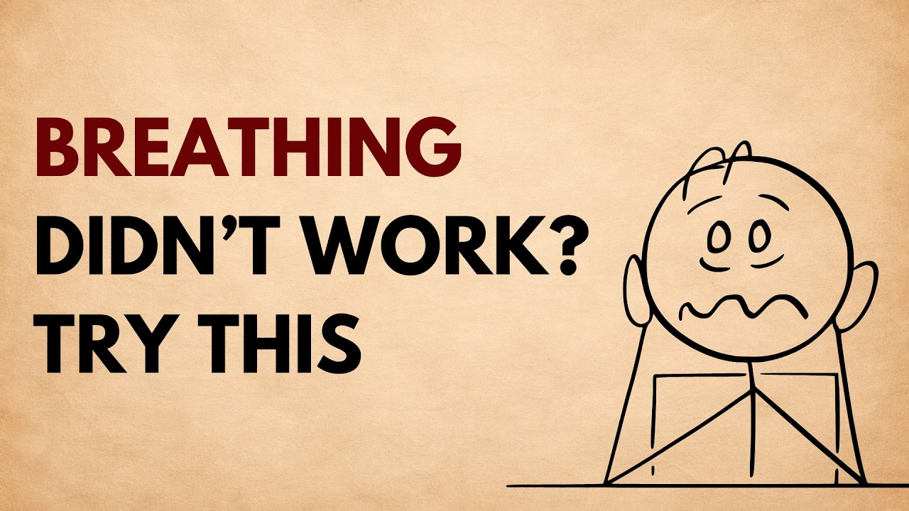 Overstimulated? Start With This | Nervous System Series Part 1