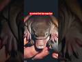 America, Meet Nature’s Weirdest Mammal #viral #facts #shorts