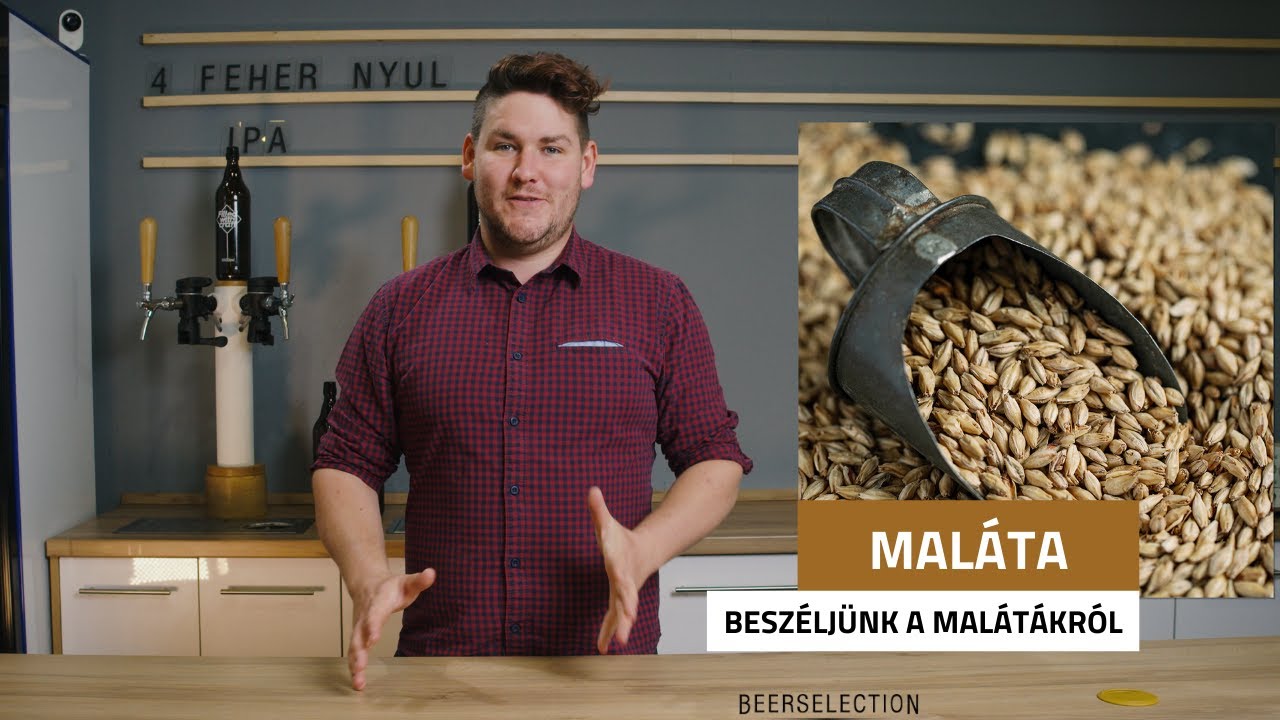 Beszéljünk a malátáról! 🗣 | BEERSELECTION.HU 🍻