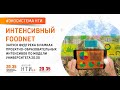 ⚡ Сегодня в 17:00 мск (18:00 по Самаре)⚡📢 Онлайн-дискуссия &quot;С чем едят «Фудтрек»?&quot;