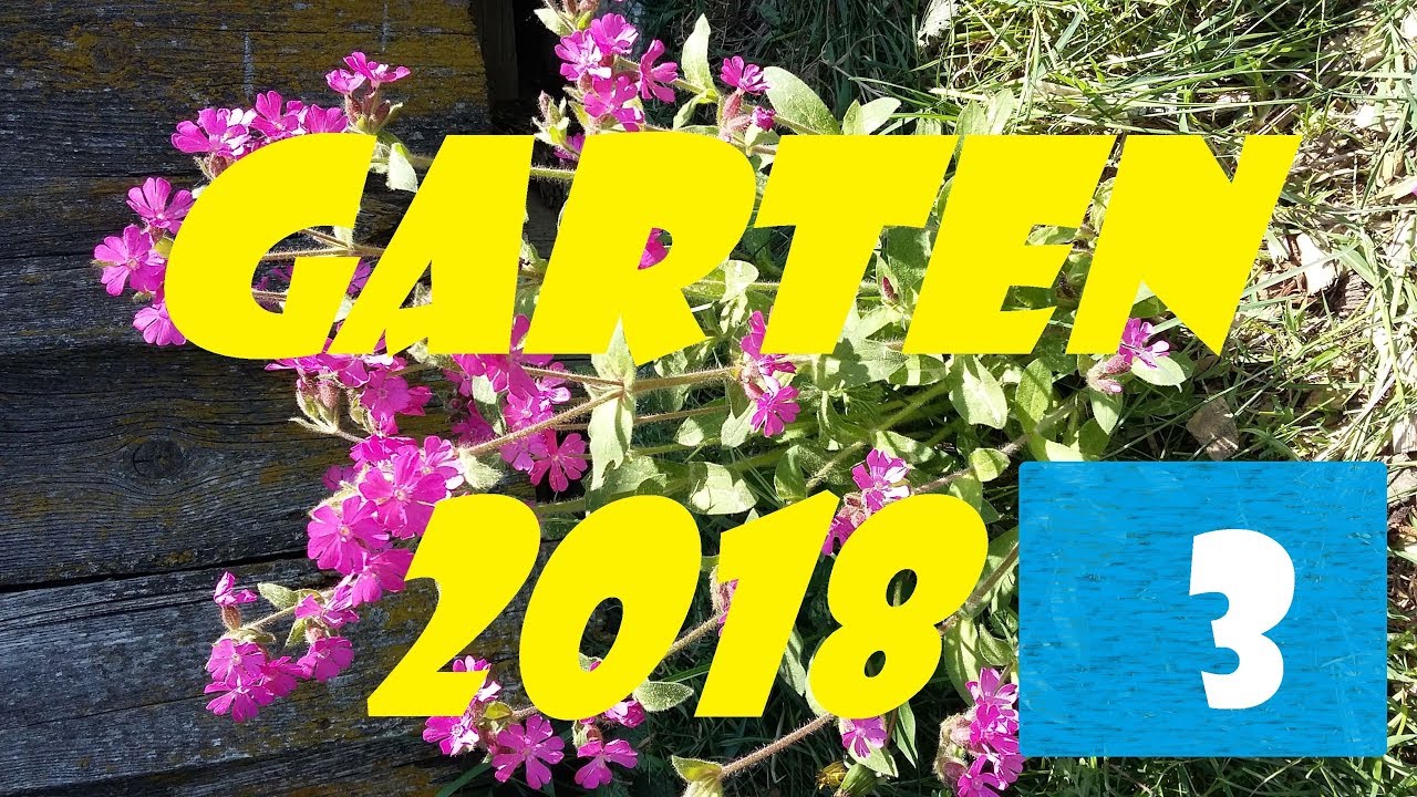 Garten 2018 Juli #3 und Tomatenchallenge Uptade