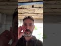 Garage ceiling insulation update!
