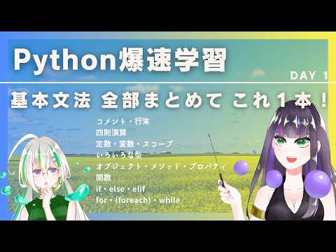 【５分で履修】サクっと学びたい方必見！基本文法まとめ【Python】